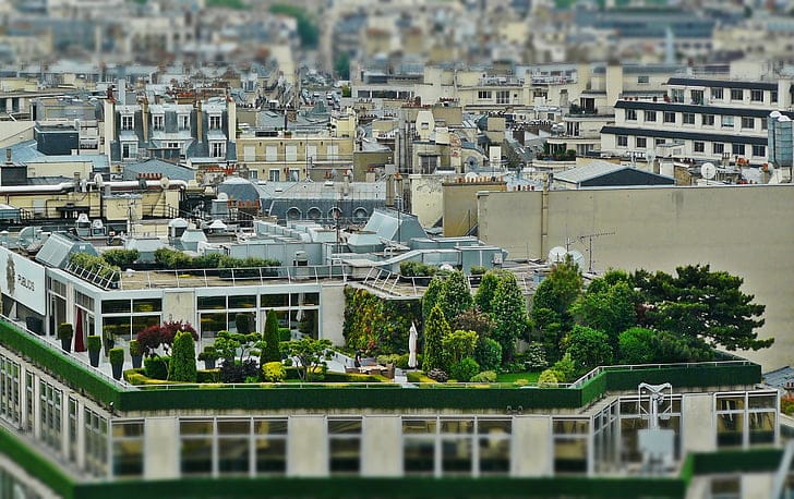 Paris rooftops — the French market for UAE companies